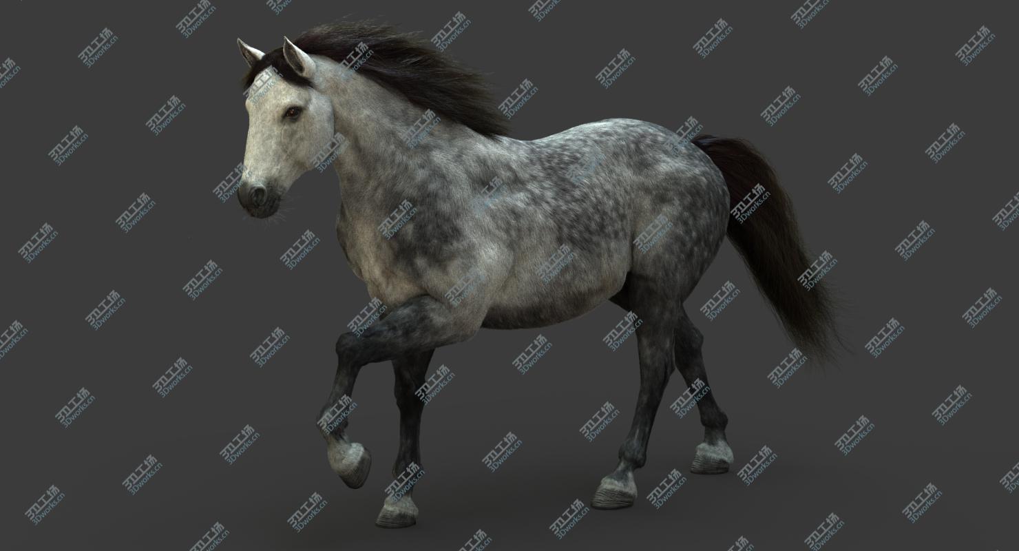 images/goods_img/2021040161/3D model Horse (2) (DappleGrey) (ANIMATED) (FUR)/1.jpg